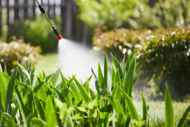 Tamper-Resistant Bait Stations for Rodents in Woodbury
