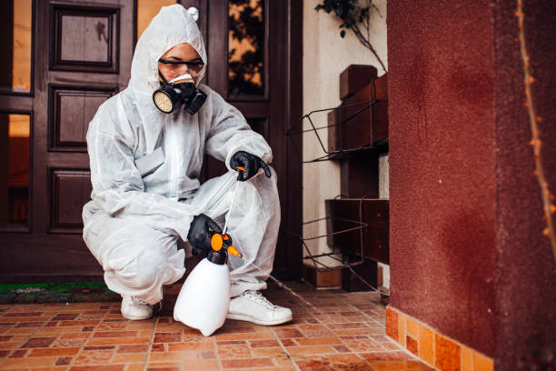 Attic and Crawl Space Rodent Treatment in Woodbury